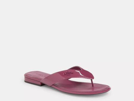 Coach Outlet Bridgette Sandal Online