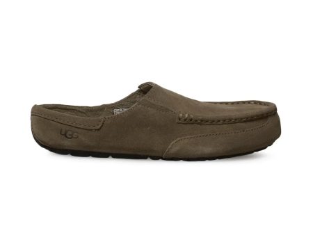 UGG Alamar Dry Leaf Slippers - Men s Online