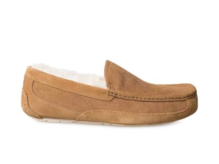 UGG Ascot Corduroy Chestnut Slippers - Men s Online now