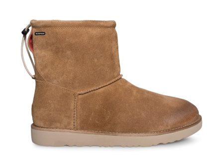 UGG Classic Toggle WP Chestnut Boots - Men s Fashion