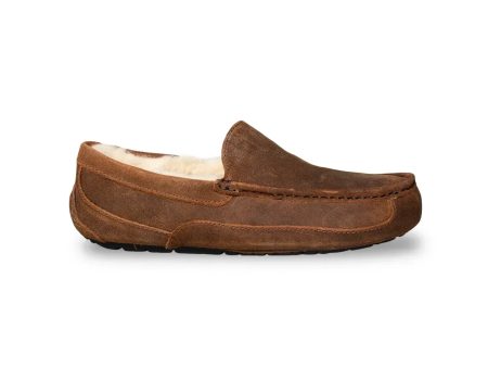 UGG Ascot Oiled Suede Chestnut Slippers - Men s Supply