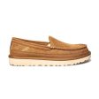 UGG Dex Chestnut Shoes - Men s Hot on Sale