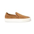 UGG Jass Chestnut Shoe s - Womens Hot on Sale