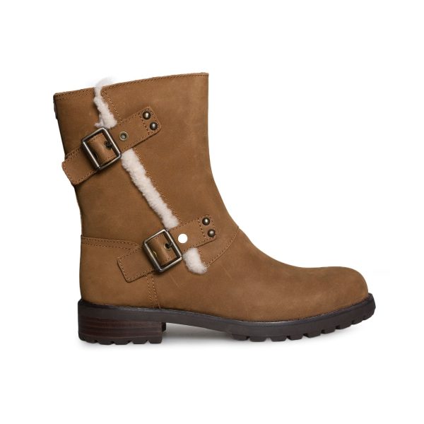 UGG Niels Chestnut Boots - Women s Hot on Sale